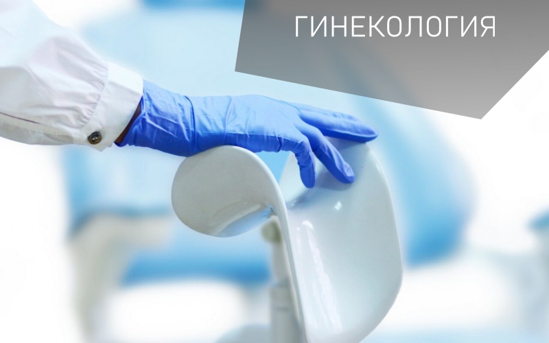 Ледамед_гинекология.jpg